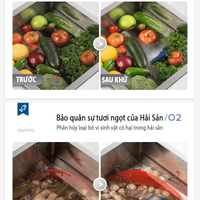 Máy Khử Khuẩn Thực Phẩm Morphy Richards MR2061 Khử Trùng Rau Củ Quả, Thịt Cá Hải Sản, Sục Ozone Rửa Thực Phẩm 2 in 1, Hàng Chính Hãng