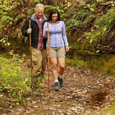 Gậy Chống Gỗ Hương Cho Người già