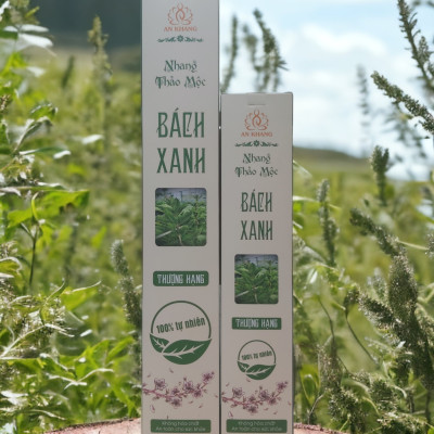 hộp 100 nén Nhang thảo mộc Bách Xanh dài 29cm - không sử dụng hóa chất, ít khói, mùi hương dịu nhẹ