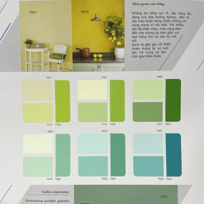 Sơn phào chỉ trong và ngoài nhà Toa 4 Seasons Tropic Shield màu C- 7358 _1L