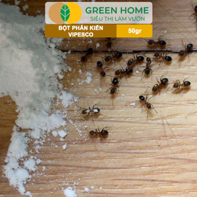 Bột Phấn Kiến Vipesco, GreenHome, Gói 50gr, Hiệu Quả Cao, Dễ Sử Dụng, Diệt Trừ Kiến, Gián