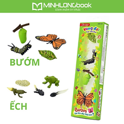 Đồ Chơi Duka: Vòng Đời Tự Nhiên - Khám Phá Môi Trường