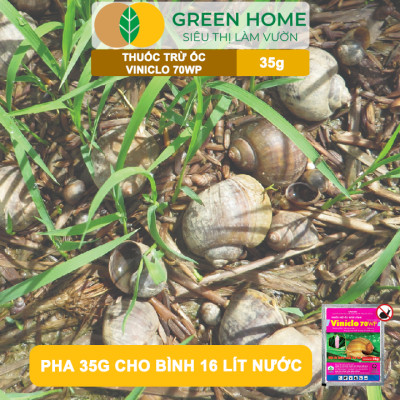 Thuốc Diệt Ốc Bươu Vàng Viniclo 70WP, GreenHome, Gói 35gr, Diệt Sạch Ốc, An Toàn Cho Lúa
