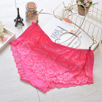 Quần Lót Nữ Nguyên Ren Cao Cấp 333 – Siêu Mềm, Co Giãn 4 Chiều, Ôm Dáng Thon Gọn