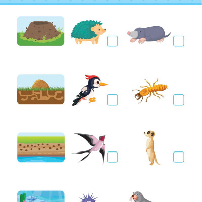 Combo Sách 365 Ngày Siêu Trí Tuệ Nhí - Phát Triển Tư Duy Logic IQ Cho Trẻ Em (Bộ 5 Cuốn)