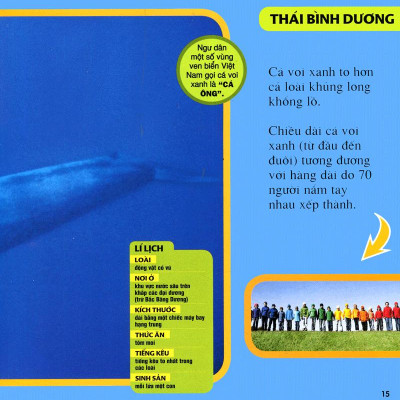 Cuốn Sách Lớn Đầu Tiên Của Tớ - Đại Dương - Bìa Cứng (Tái Bản 2024)