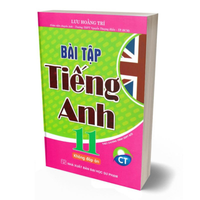 Sách - Bài Tập Tiếng Anh Lớp 11 - Không Đáp Án (Theo Chương Trinh GDPT Mới chân trời )