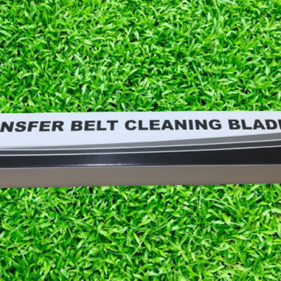 Gạt Belt ( Gạt băng tải ) Ricoh 1060/2060/6001/ 7500/8001/9002