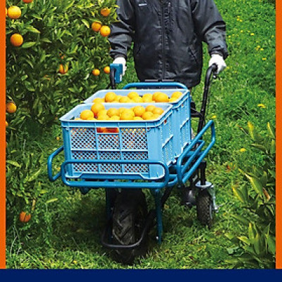 XE ĐẨY DÙNG PIN 18V ( 130 KG) MAKITA DCU180Z (KHÔNG KÈM PIN VÀ SẠC) - HÀNG CHÍNH HÃNG