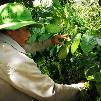 AZZAN BLEND ARABICA & ROBUSTA 250g- Cà phê đặc sản, hạt rang Pha phin/ Espresso hương vị đậm đà lôi cuốn