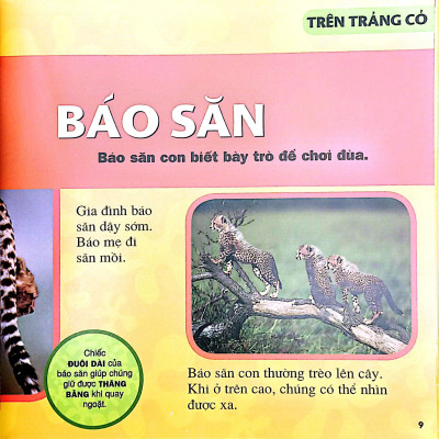 Sách - Cuốn Sách Lớn Đầu Tiên Của Tớ - Động Vật - Bìa Cứng (Tái Bản 2024)