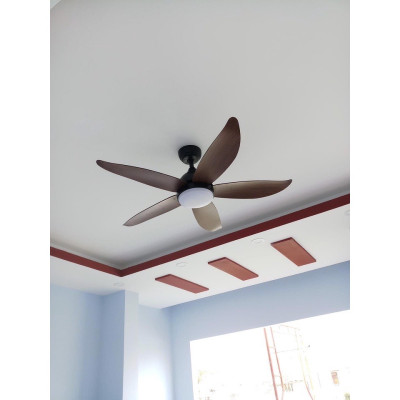 QUẠT TRẦN ĐÈN 5 CÁNH ( 6 số có đảo chiều) điều khiển từ xa, hàng chính hãng klasse