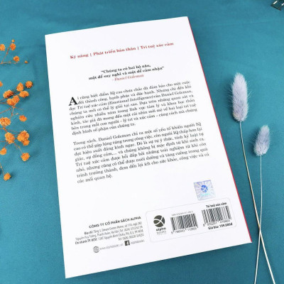 Sách Trí Tuệ Xúc Cảm (Tái bản Mới Nhất) - Alphabooks - BẢN QUYỀN