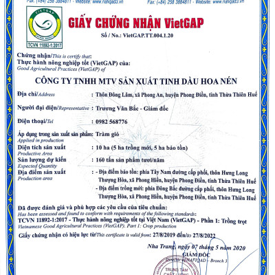 Tinh dầu Tràm Huế nguyên chất cao cấp Hoa Nén 25ml - Chuẩn VietGAP - Chăm sóc sức khỏe mẹ và bé