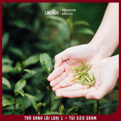 Trà Xanh Lài Loại 1 - Trà Pha Chế - Pha Trà Sữa, Trà Trái Cây - Túi 500 Gram