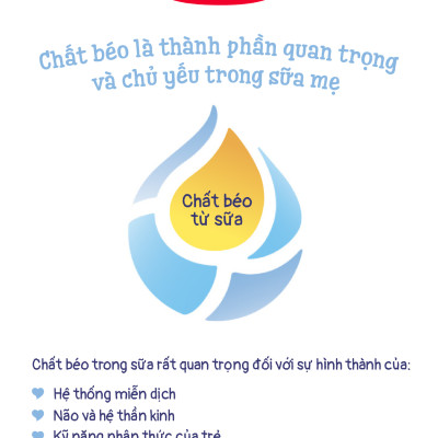 Combo 4 Sữa bột công thức Semper Bifidus số 2 400g/hộp