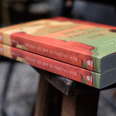 Khi Đàn Sếu Bay Về Phương Nam