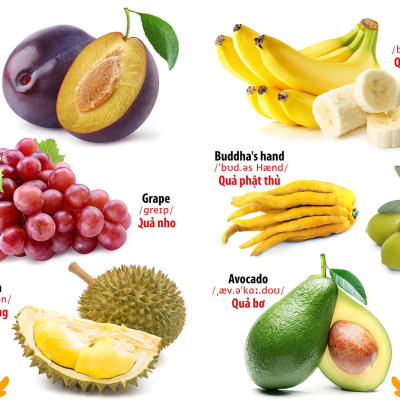 Từ Điển - Thư Viện hình Ảnh Đầu tiên Của Bé - Thế Giới Động Vật - Chữ Cái Và Số Đếm - Hoa Rau Củ Quả ( Bộ 3 cuốn )