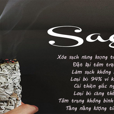 Sét 1 bó lá xô thơm trắng white sage hoa xanh 10cm và 1 thanh gỗ palo santo trắc xanh 5-6gr Combo06