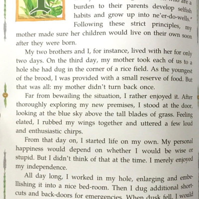 Sách ngoại văn: Diary Of A Cricket (Tái Bản 2024)