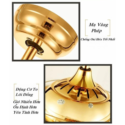 Quạt trần có đèn