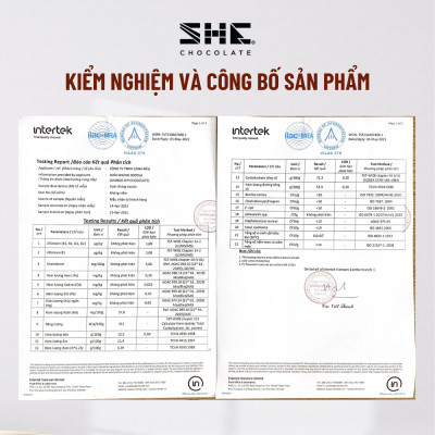 Xoài nhúng Socola - Túi 500g - SHE Chocolate - Đa dạng vị giác, tốt cho sức khỏe, bổ sung năng lượng. Quà tặng người thân, dịp lễ, thích hợp ăn vặt