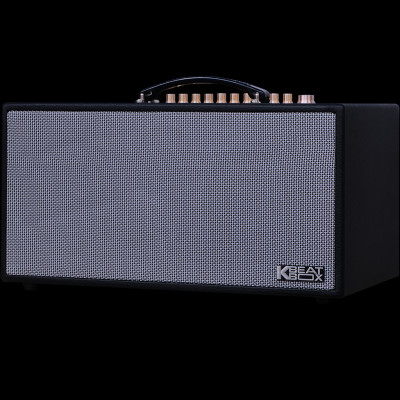 Dàn âm thanh di động xách tay ACNOS CS450SR