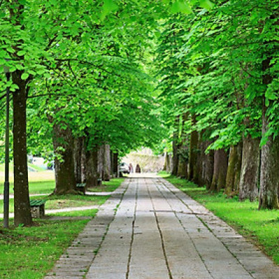 Tranh Dán Tường LN 0328