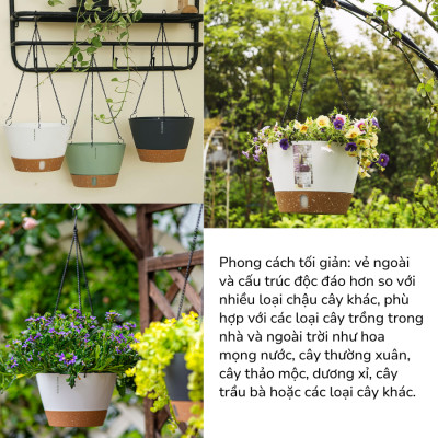 Chậu treo tự tưới Monrovia cho cây trong nhà và ngoài trời có móc treo sắt, decor không gian sống