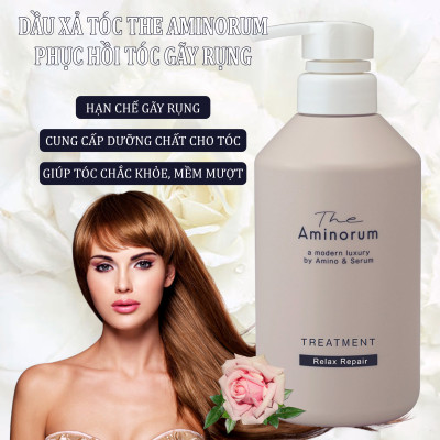 Dầu Xả Phục Hồi Tóc Gãy Rụng Và Hư Tổn Salon Link The Aminorum Treatment (400 mL)
