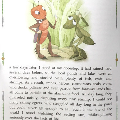 Sách ngoại văn: Diary Of A Cricket (Tái Bản 2024)