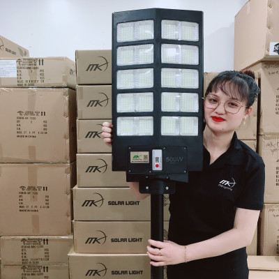 Đèn đường năng lượng mặt trời 2 cánh 500W MK-662500