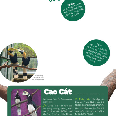 Thảo Cầm Viên Sài Gòn - Kho Báu Trong Lòng Thành Phố