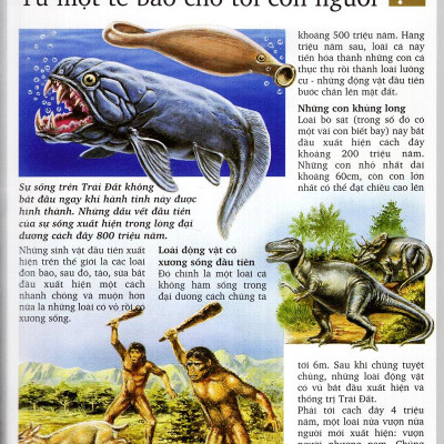 Kì Quan Thiên Nhiên (Tái Bản 2020)