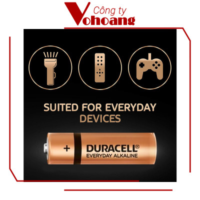 Pin AA Duracell Everyday , Pin Tiểu vỉ 2 viên cho máy nghe nhạc, chuột không dây, bàn phim - Hàng Chính Hãng