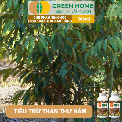 Chế Phẩm Sinh Học Bacte Bios Thán Thư Nấm Hồng, Green Home, Chai 500ml, Từ Thảo Mộc, Hiệu Lực Nhanh Mạnh