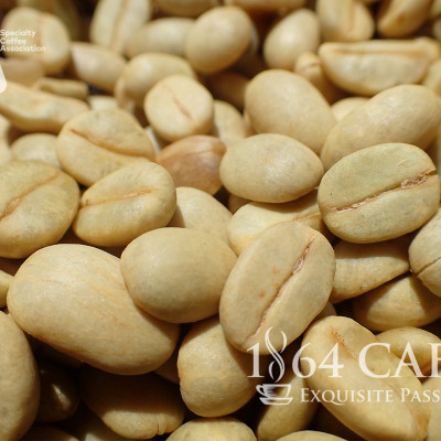 Cà Phê Hảo Hạng (Specialty Coffee) Tinh Khiết Không Tẩm Không Độn Thương Hiệu Quốc Tế 1864 CAFÉ EL BORBOLLÓN Nguyên Hạt Khối Lượng Tịnh 220g – 1864 CAFÉ