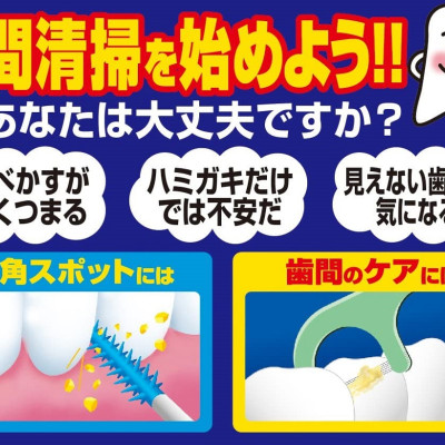 Tăm chải kẽ răng Kobayashi Nhật Bản I SSS & I SSSS