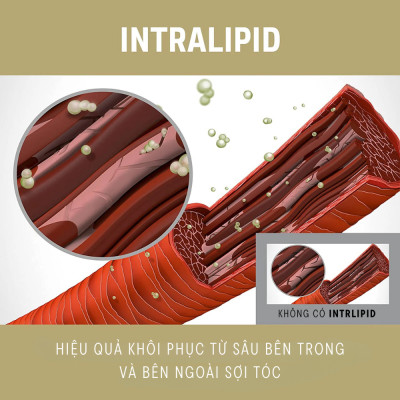 Dầu Gội Phục Hồi Tóc Hư Tổn Goldwell Rich Repair Phục Hồi Tóc Khô Xơ, Hư Tổn, Chẻ Ngọn Lên Tới 98%