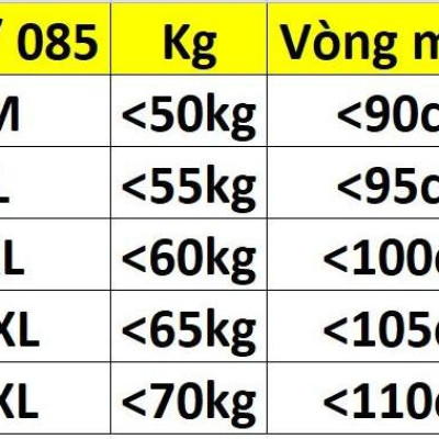 COMBO 3 QUẦN GẤM LƯNG CAO 054