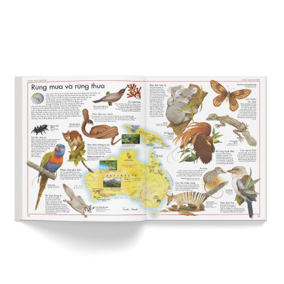 Sách - Atlas Động Vật - Đông A