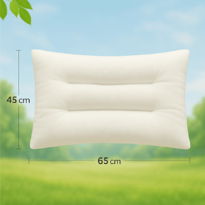 Ruột gối định hình  thư giãn cổ, massage cổ, chống ngáy 45x65 cm