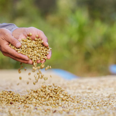 AZZAN BLEND ARABICA & ROBUSTA 250g- Cà phê đặc sản, hạt rang Pha phin/ Espresso hương vị đậm đà lôi cuốn