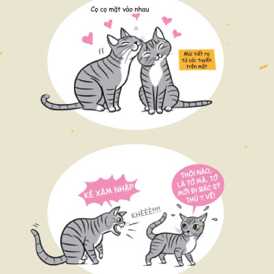 Méo Mèo Meo - Bí Mật Giao Tiếp Từ Cái Vẫy Đuôi Đến Tiếng Grừ Grừ - SGB