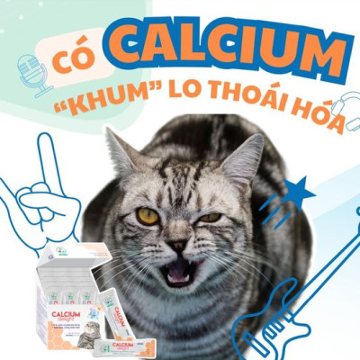 BOSSEN - Calcium Delight for cat Bổ Sung Canxi và Khoáng cho Mèo - Hộp 20 gói 2.5ml