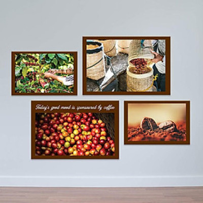 Bộ 4 tranh cho quán cà phê “thu hoạch hạt cà phê” | Tranh cây cafe W4233