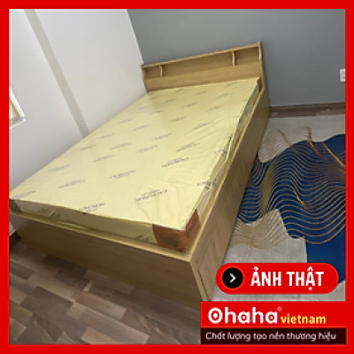 [Kèm ảnh thật - Miễn phí lắp đặt & vận chuyển] Giường ngủ gỗ công nghiệp cao cấp OHAHA chuẩn Nhật - Yellow - GC041 - 01