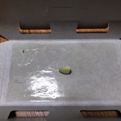 Miếng Keo Bẫy Gián Và Côn Trùng Có Mùi Hương Dễ Chịu - Set 2 Miếng