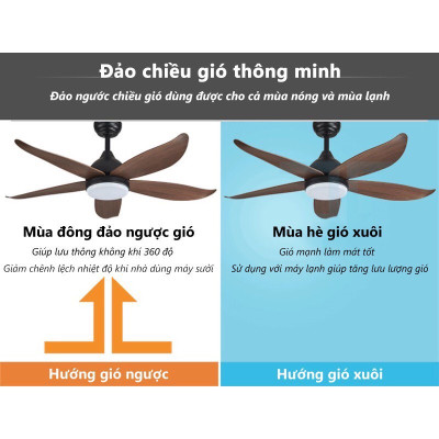 QUẠT TRẦN ĐÈN 5 CÁNH ( 6 số có đảo chiều) điều khiển từ xa, hàng chính hãng klasse