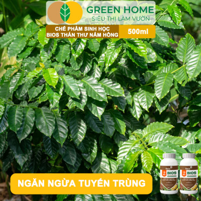 Chế Phẩm Sinh Học Bacte Bios Thán Thư Nấm Hồng, Green Home, Chai 500ml, Từ Thảo Mộc, Hiệu Lực Nhanh Mạnh